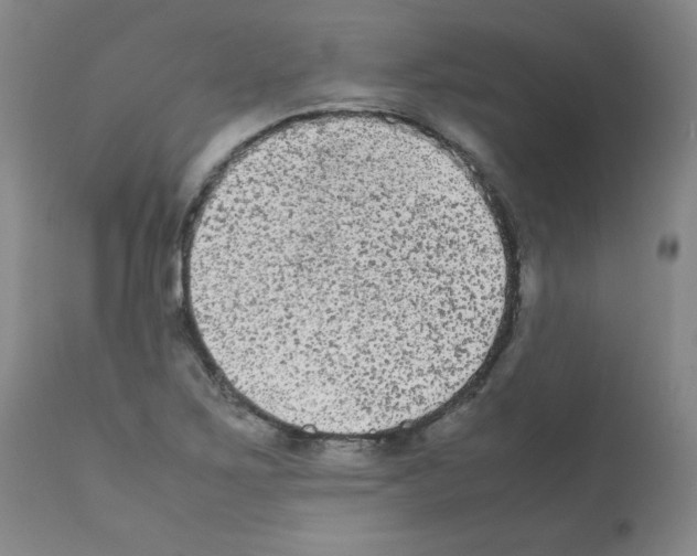 X0000112071267200909151040