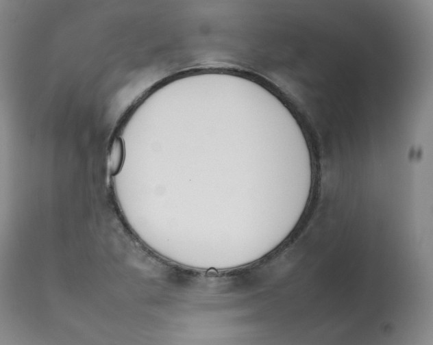 X0000112071269200909151040