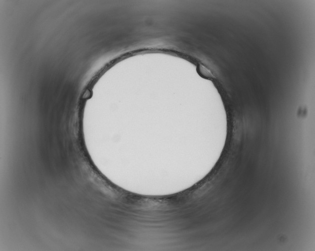 X0000112071270200909151040