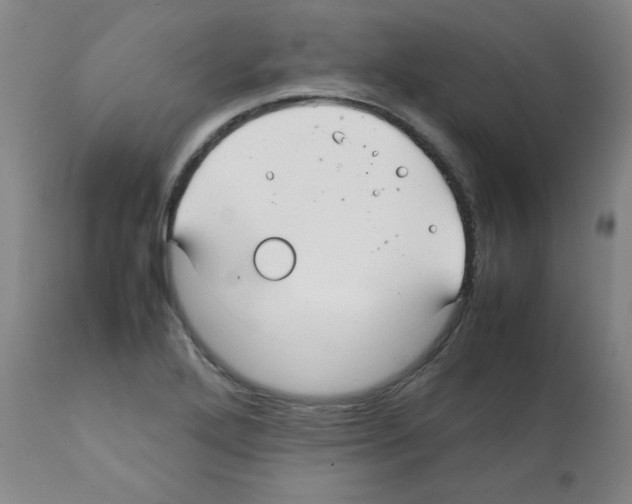 X0000112071272200909151040