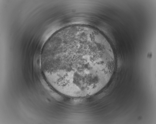 X0000112071274200909151040