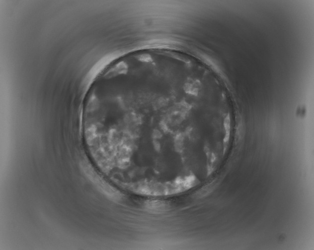 X0000112071275200909151040