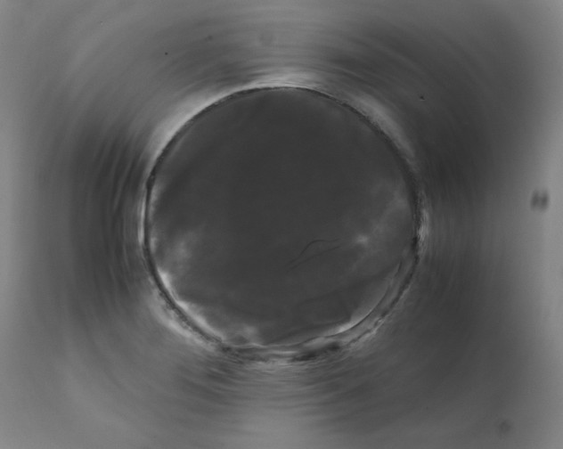X0000112071276200909151040