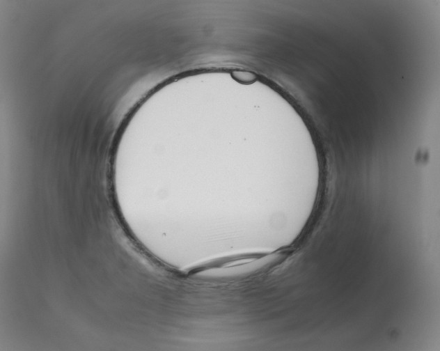 X0000112071277200909151040