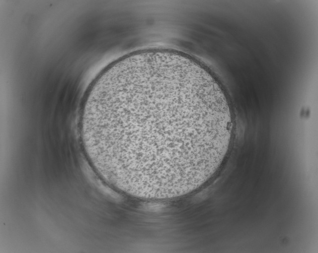 X0000112071278200909151040