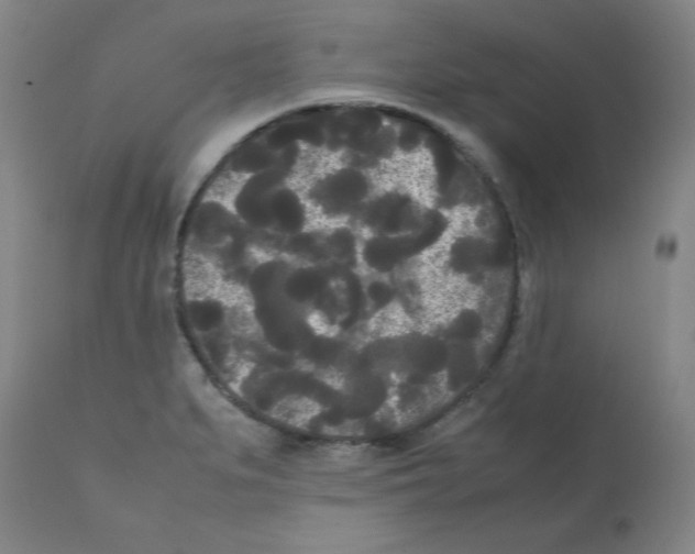 X0000112071279200909151040