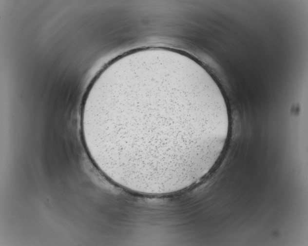 X0000112071280200909151040