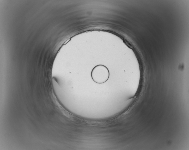 X0000112071281200909151040