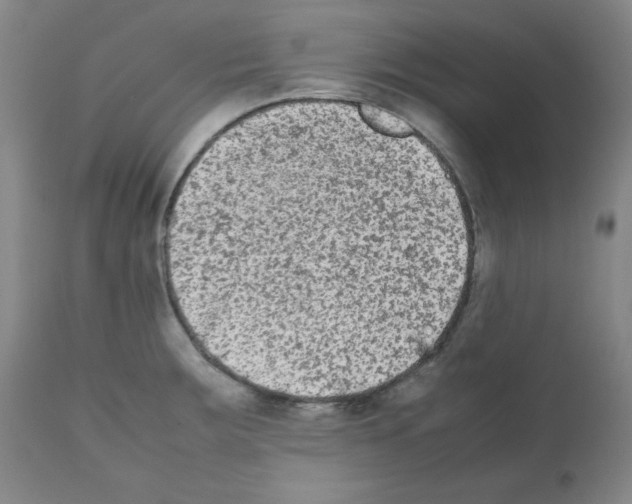 X0000112071283200909151040