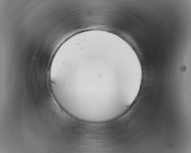 X0000112071284200909151040
