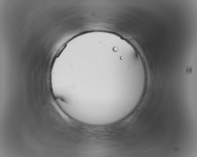 X0000112071285200909151040