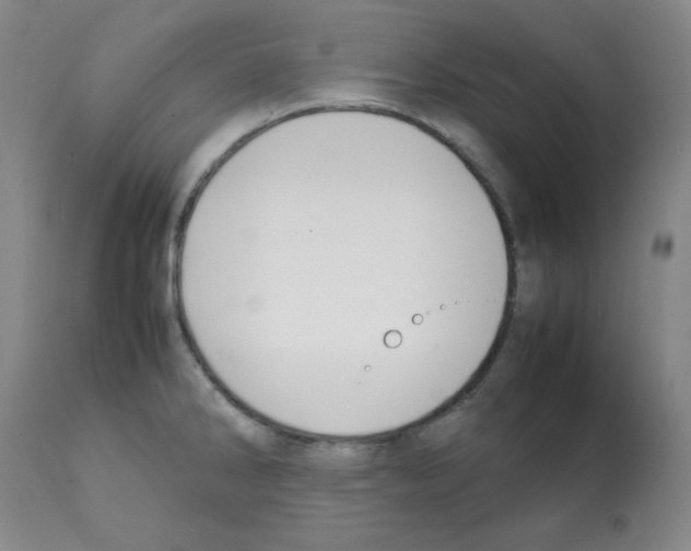X0000112071286200909151040