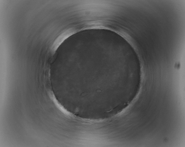 X0000112071289200909151040