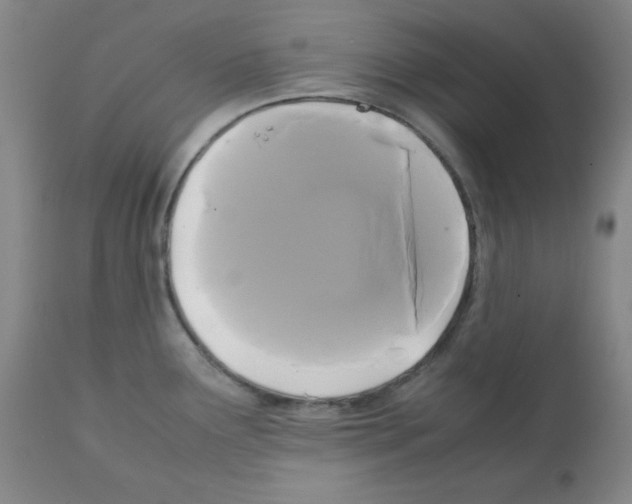 X0000112071291200909151040