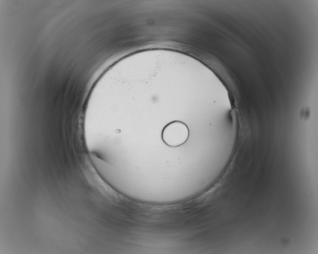 X0000112071292200909151040