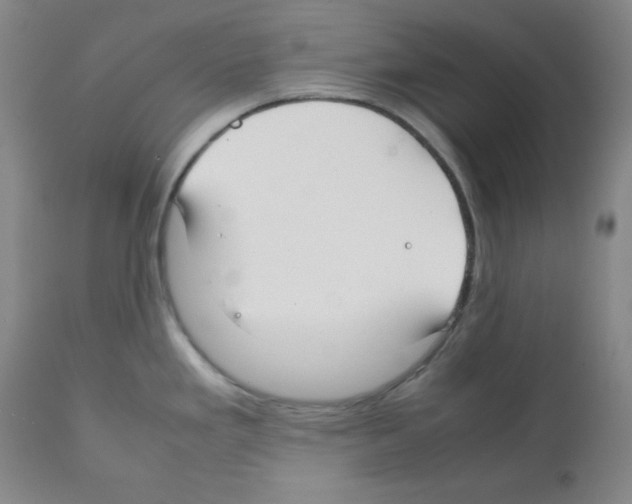 X0000112071293200909151040