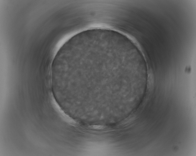 X0000112071295200909151040