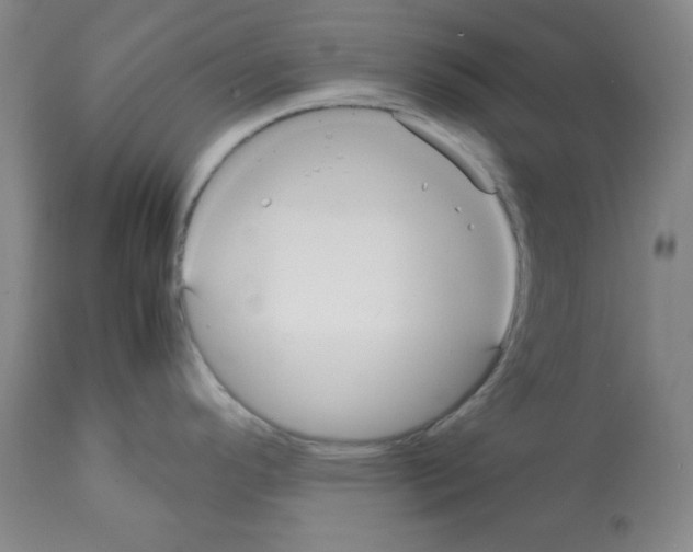 X0000112071296200909151040