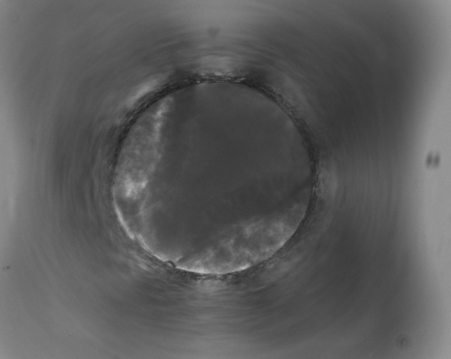 X0000112071297200909151039