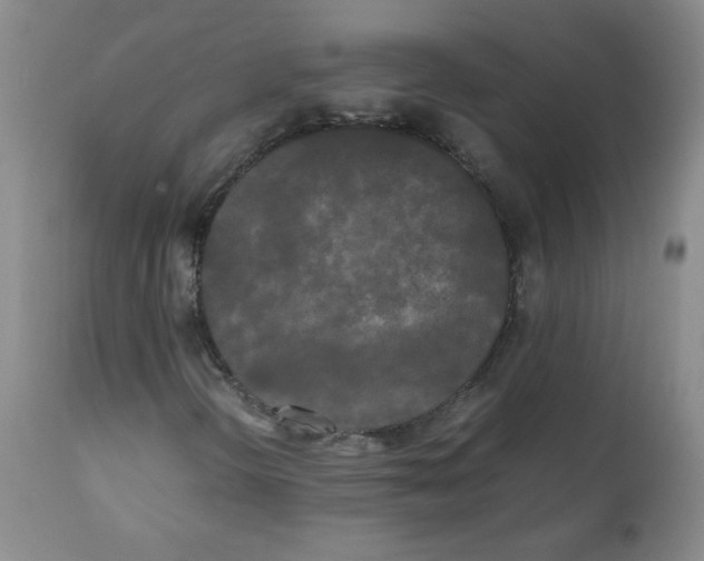 X0000112071298200909151039
