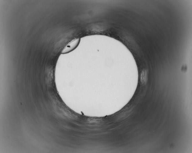 X0000112071299200909151039