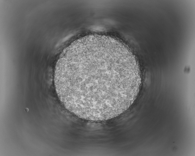 X0000112071301200909151039