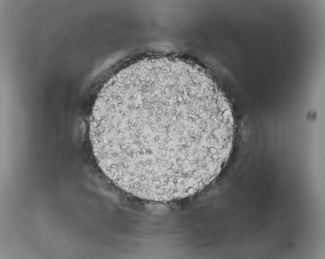 X0000112071302200909151039