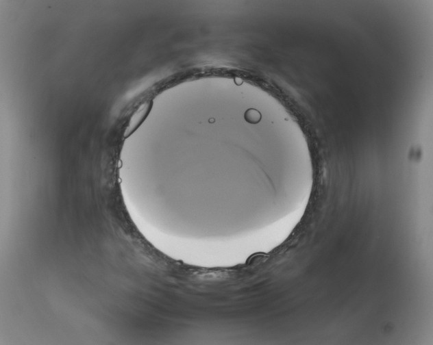 X0000112071303200909151039