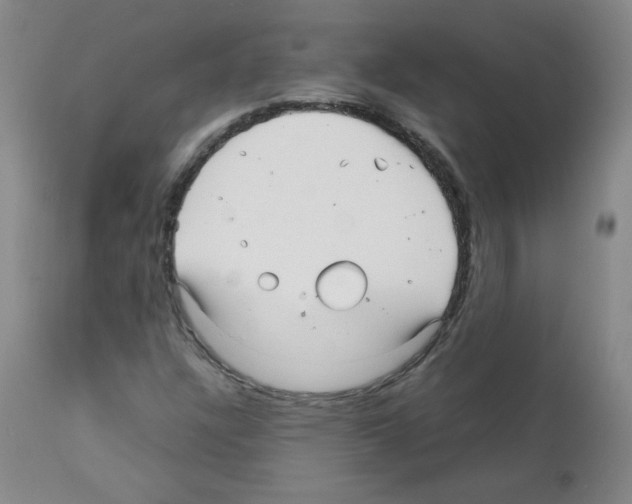 X0000112071304200909151039