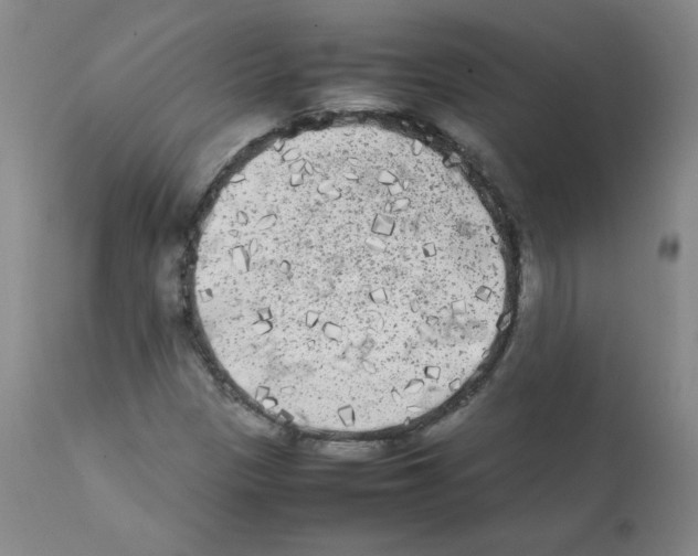 X0000112071305200909151039