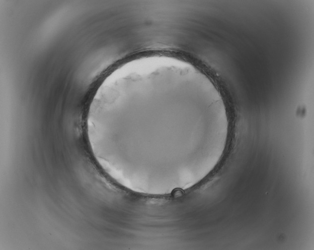 X0000112071306200909151039
