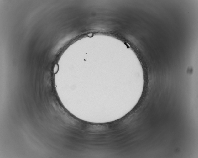 X0000112071307200909151039