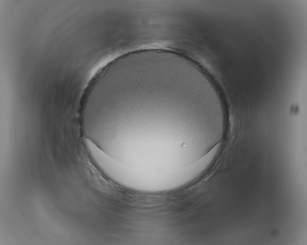 X0000112071308200909151039