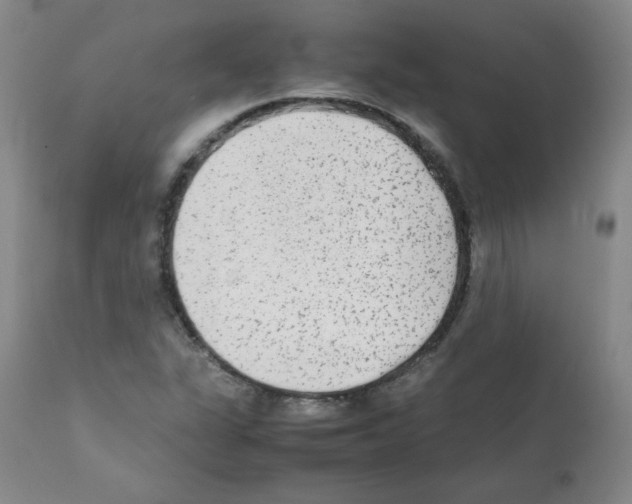 X0000112071311200909151039