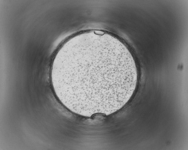 X0000112071312200909151039