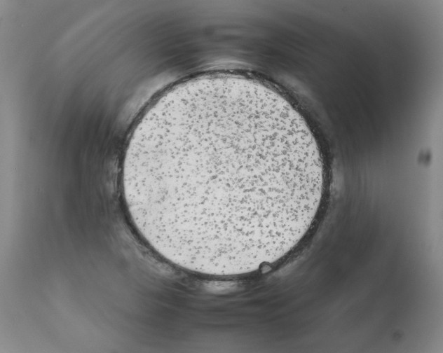 X0000112071313200909151039