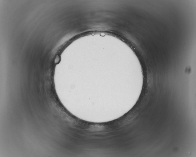 X0000112071315200909151039