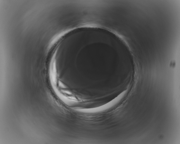 X0000112071319200909151039