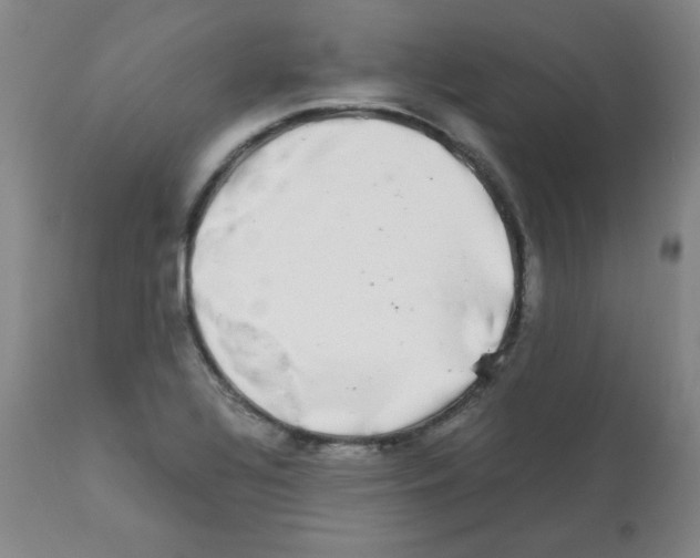 X0000112071320200909151039