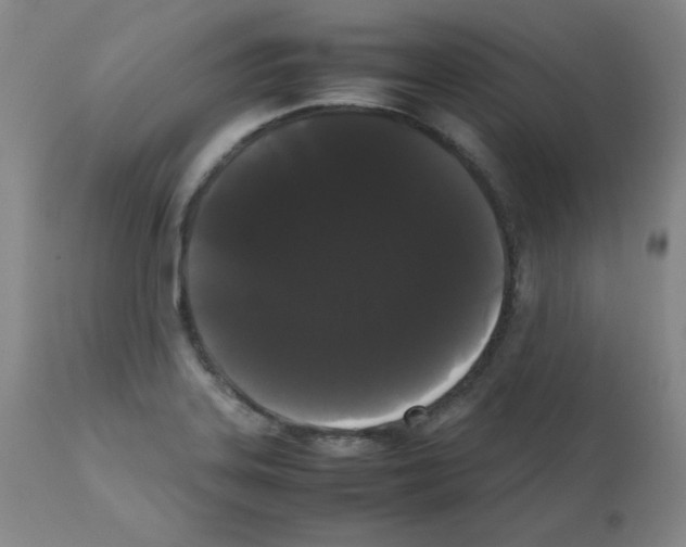 X0000112071323200909151039