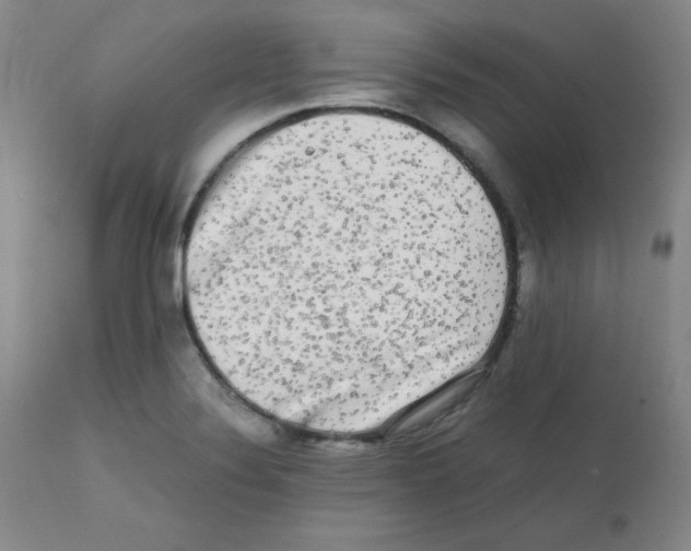 X0000112071324200909151039