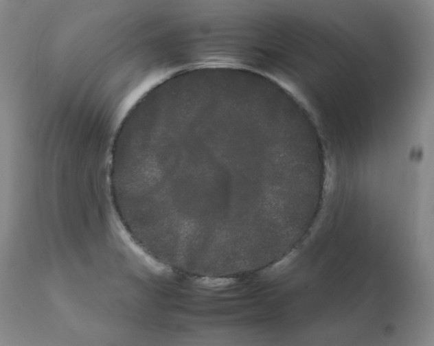 X0000112071325200909151039