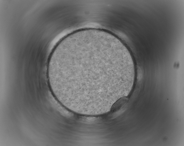 X0000112071326200909151039