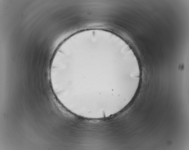 X0000112071328200909151039