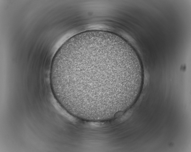 X0000112071330200909151039