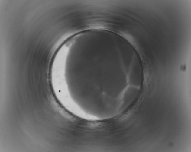 X0000112071331200909151039