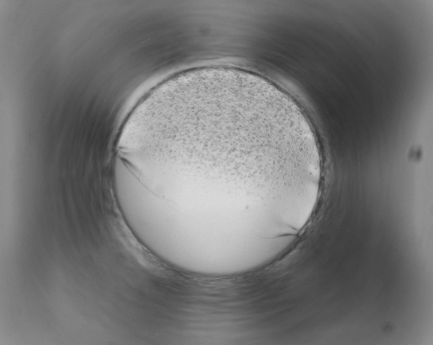 X0000112071332200909151039