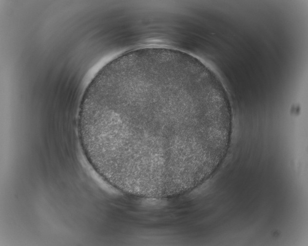 X0000112071333200909151039