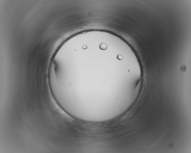 X0000112071334200909151039