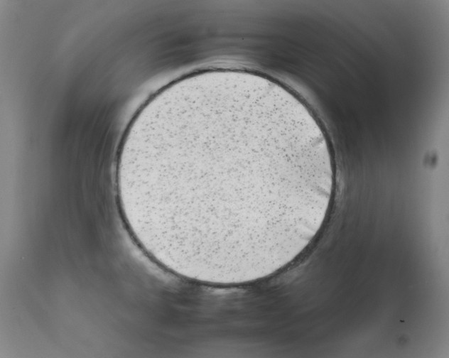 X0000112071335200909151039